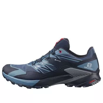 Кроссовки wings sky gtx Salomon, синий