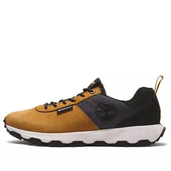 Кроссовки winsor trail low leather sneakers 'wheat' Timberland, желтый