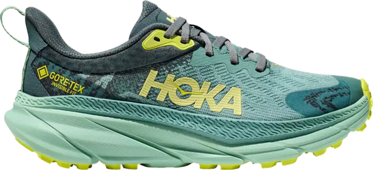 Кроссовки Wmns Challenger ATR 7 GORE-TEX 'Trellis Balsam Green', зеленый