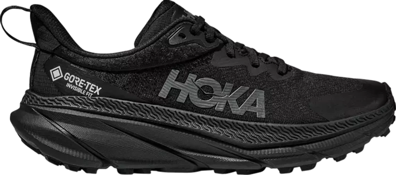 Кроссовки Wmns Challenger ATR 7 GORE-TEX 'Triple Black', черный