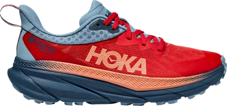 Кроссовки Wmns Challenger ATR 7 GORE-TEX 'Cerise Real Teal', красный