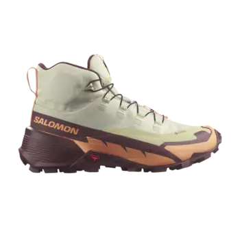 Кроссовки Wmns Cross Hike 2 Mid GORE-TEX Salomon, серый