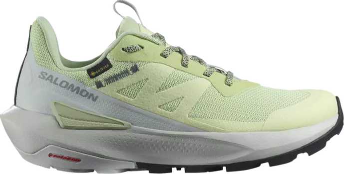 Кроссовки Wmns Elixir Activ GORE-TEX 'Celadon Green', зеленый