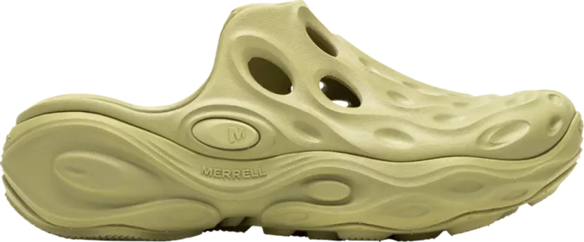 Кроссовки Wmns Hydro Next Gen Mule 1TRL 'Triple Mosstone', зеленый