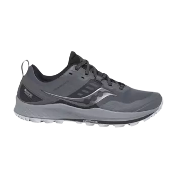 Кроссовки Wmns Peregrine 10 GTX Saucony, черный