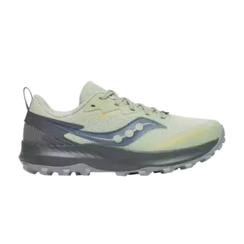 Кроссовки Wmns Peregrine 14 GORE-TEX, цвет Sage Carbon