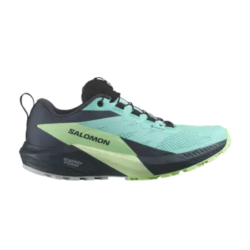 Кроссовки Wmns Sense Ride 5 GORE-TEX Salomon, синий