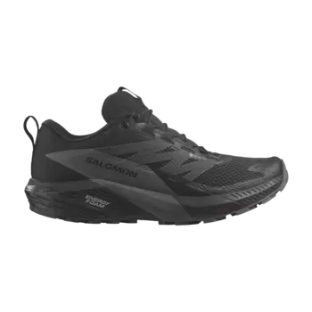 Кроссовки Wmns Sense Ride 5 GORE-TEX Salomon, черный