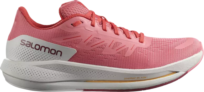 Кроссовки Wmns Spectur 'Tea Rose', розовый