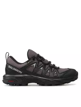 Кроссовки X Braze Gtx GORE-TEX Salomon, серый