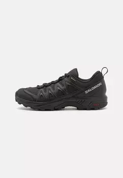 Кроссовки X Braze Gtx Salomon, цвет black/phantom