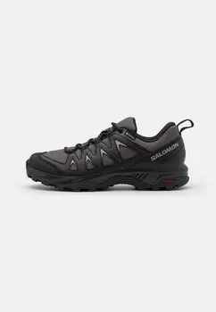 Кроссовки X BRAZE GTX Salomon, цвет magnet/black