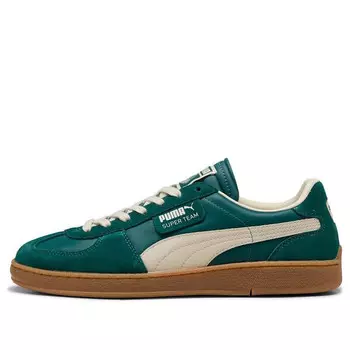 Кроссовки x palmeiras super team 'malachite alpine snow' Puma, мультиколор