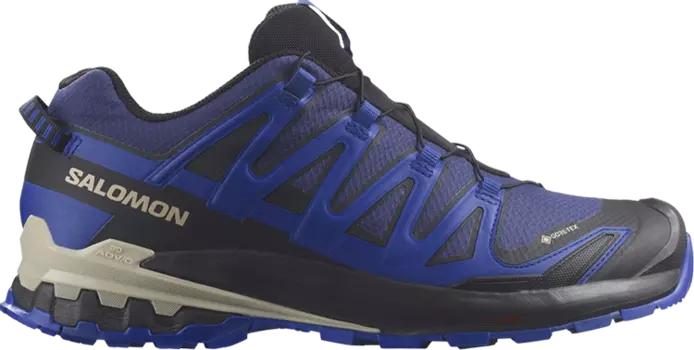 Кроссовки XA Pro 3D v9 GORE-TEX 'Blue Print', синий