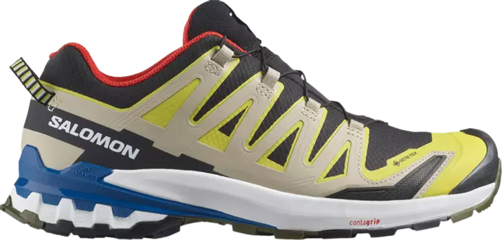 Кроссовки XA Pro 3D v9 GORE-TEX 'Black Buttercup', черный