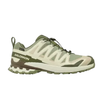 Кроссовки XA Pro 3D V9 GORE-TEX 'Lichen Green Safari', зеленый