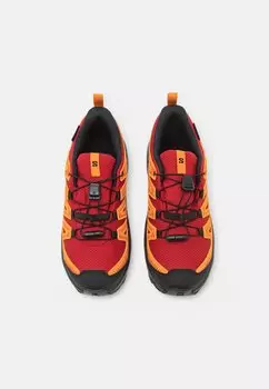 Кроссовки Xa Pro V8 Wp Unisex Salomon, светло-красный