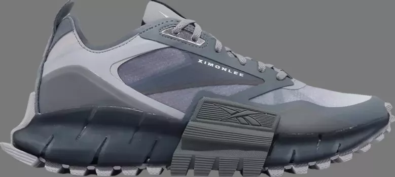 Кроссовки ximon lee x zig kinetica horizon edge 'snake pack - metallic grey navy' Reebok, серый