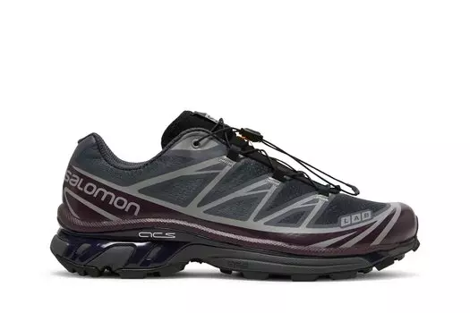 Кроссовки XT-6 Advanced Salomon, серый