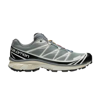 Кроссовки XT-6 Advanced Salomon, серый