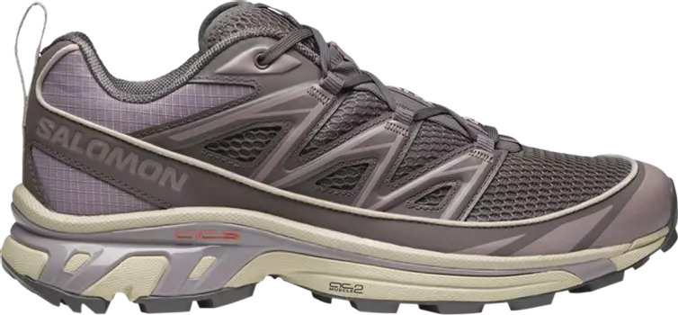 Кроссовки XT-6 Expanse Seasonal 'Plum Kitten Quail', фиолетовый