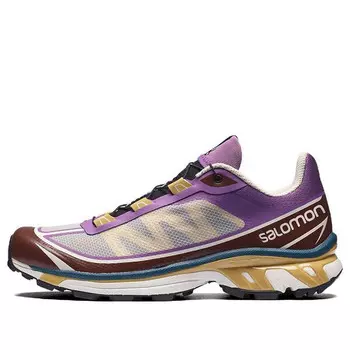 Кроссовки xt-6 ft 'grey purple brown' 414706 Salomon, фиолетовый