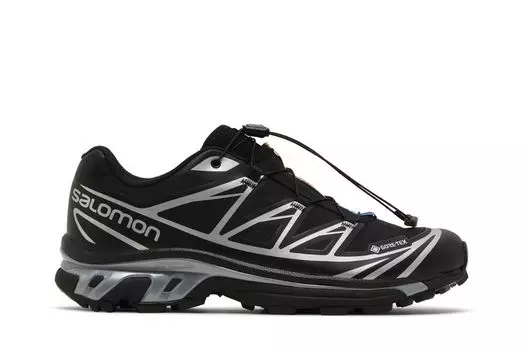 Кроссовки XT-6 GORE-TEX 'Black Silver', черный
