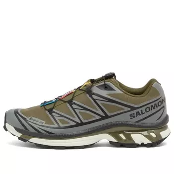 Кроссовки Xt-6 gtx Salomon, мультиколор