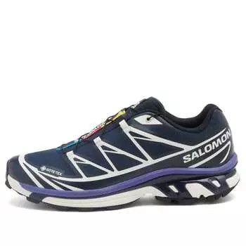 Кроссовки Xt-6 gtx Salomon, мультиколор