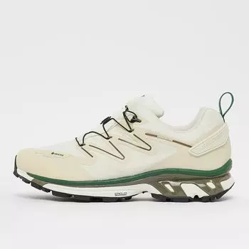 Кроссовки XT-RUSH 2 Gore-Tex Salomon, цвет vanilla/falcon/eden
