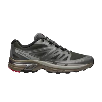 Кроссовки XT-Wings 2 Advanced Salomon, серый