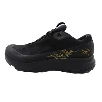 Кроссовки женские Aerios GTX Outdoor Performance с низким верхом, черные Arcteryx