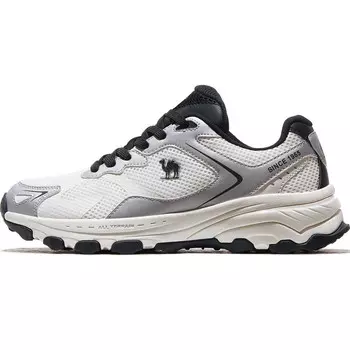Кроссовки женские Dawn Running Shoes Low-top Silver/Black Camel