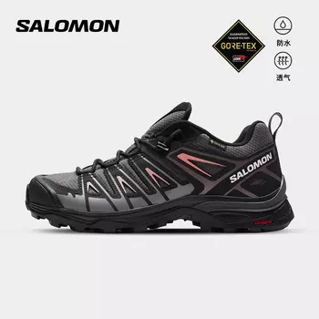 Кроссовки женские Salomon X Ultra Pioneer GTX W, серый