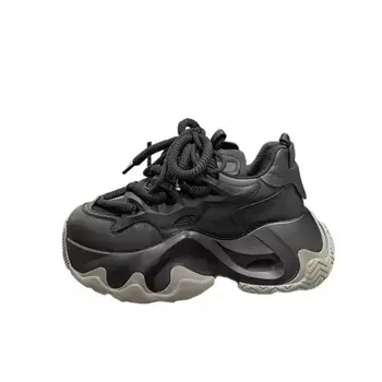 Кроссовки женские толстые низкие Abcfjg, черный