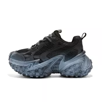 Кроссовки женские толстые низкие Baijiasi, черный