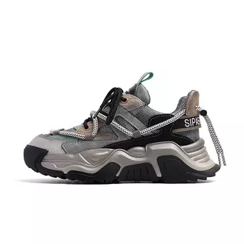 Кроссовки женские толстые низкие Baijiasi, черный