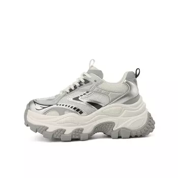 Кроссовки женские толстые низкие Boerdiqi, серебряный