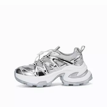 Кроссовки женские толстые низкие Boerdiqi, серебряный