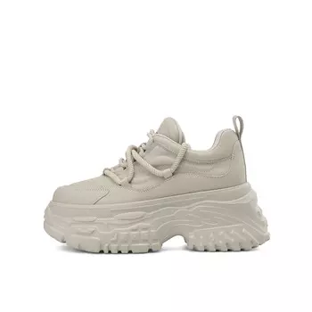 Кроссовки женские толстые низкие Boerdiqi, серый