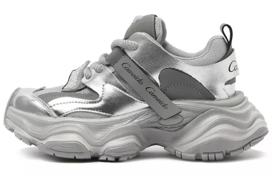 Кроссовки женские толстые низкие Cameido, серебряный