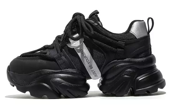 Кроссовки женские толстые низкие Daphne, черный