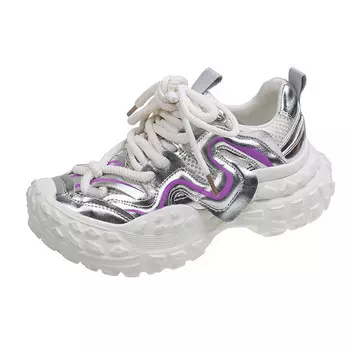 Кроссовки женские толстые низкие Ewed, цвет Silver Black