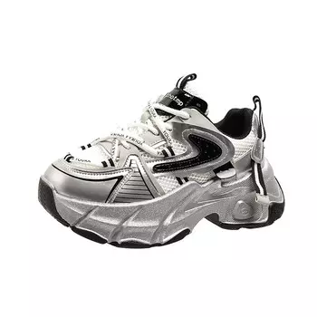 Кроссовки женские толстые низкие Fannaishi, цвет Silver Black