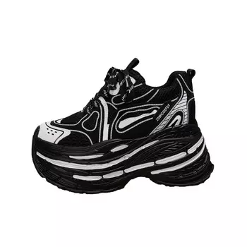 Кроссовки женские толстые низкие Forest Princess, черный