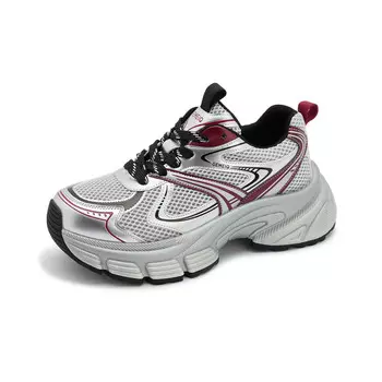 Кроссовки женские толстые низкие Gemeiq, серебряный