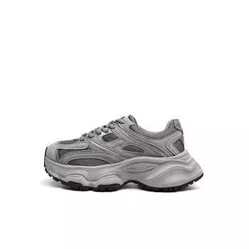 Кроссовки женские толстые низкие Moon Buds, серый