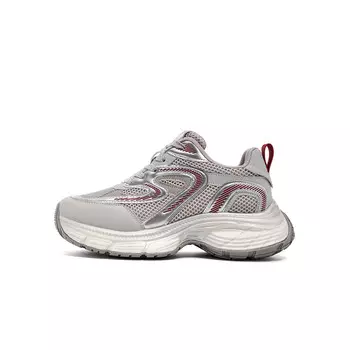 Кроссовки женские толстые низкие серебряный Eblan, серебряный