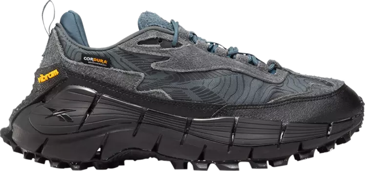Кроссовки Zig Kinetica 2.5 Edge 'Pure Grey Hoops Blue', серый