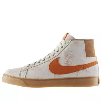 Кроссовки zoom blazer sb skateboard canvas tan Nike, мультиколор